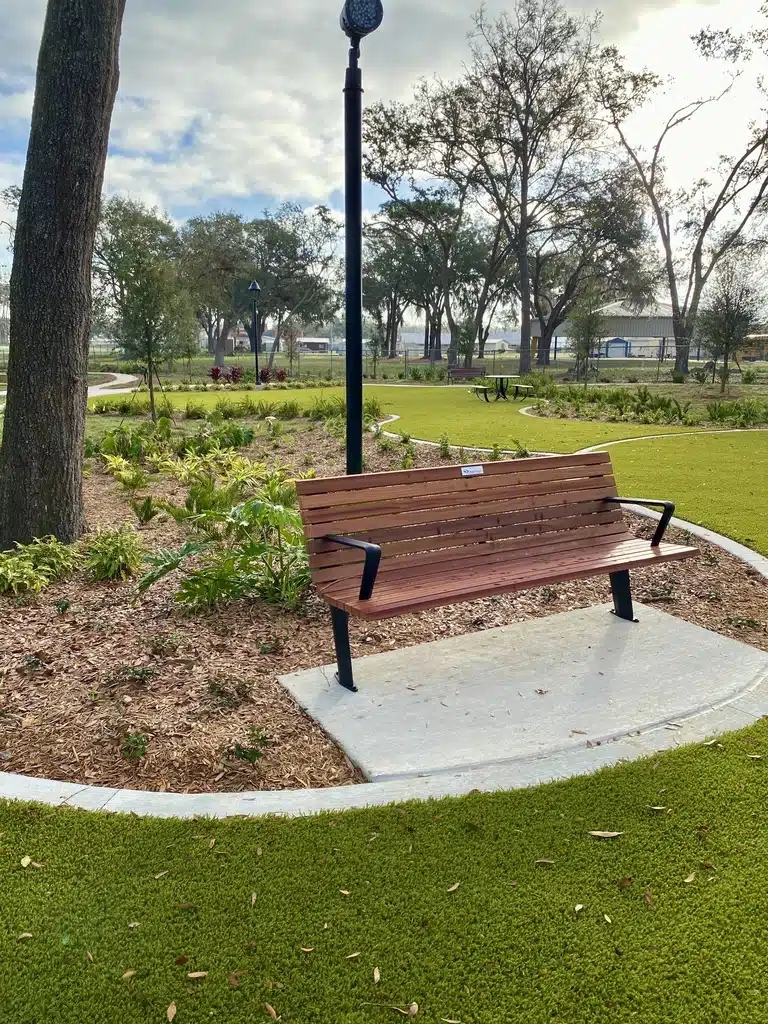 Bench and landscape
