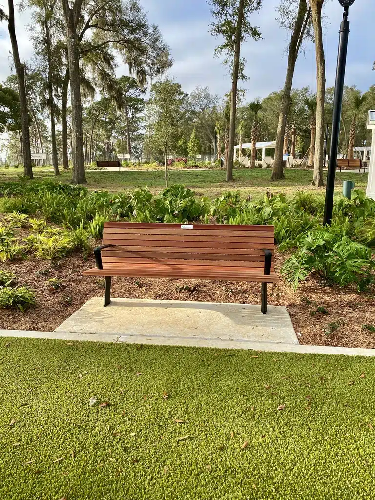 Bench and landscape